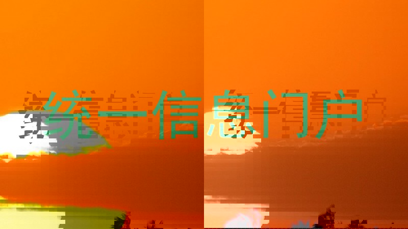 统一信息门户