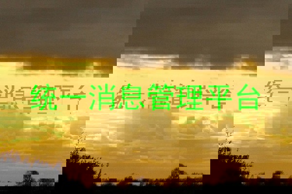 统一消息管理平台