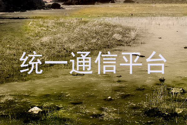 统一通信平台