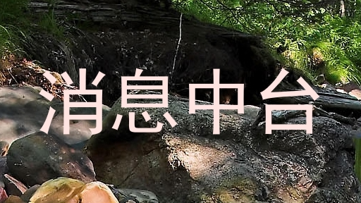 消息中台