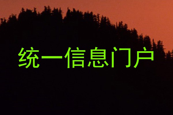 统一信息门户