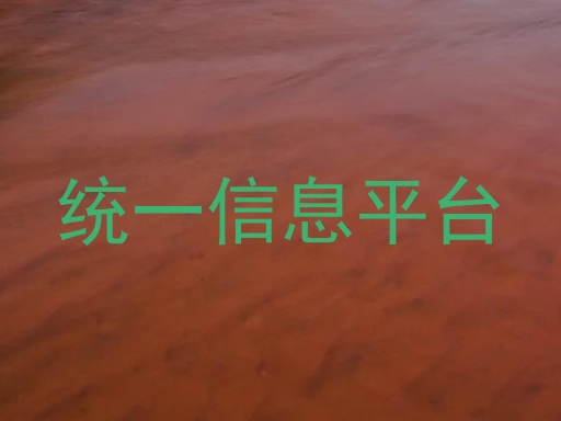 统一信息平台