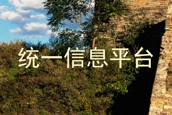 统一信息平台