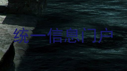 统一信息门户