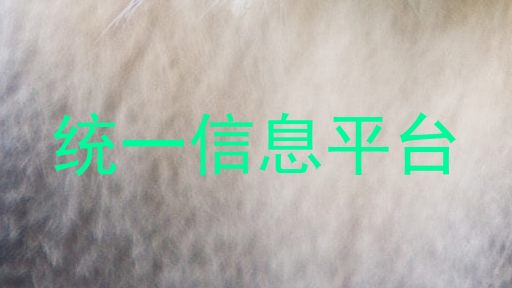统一信息平台