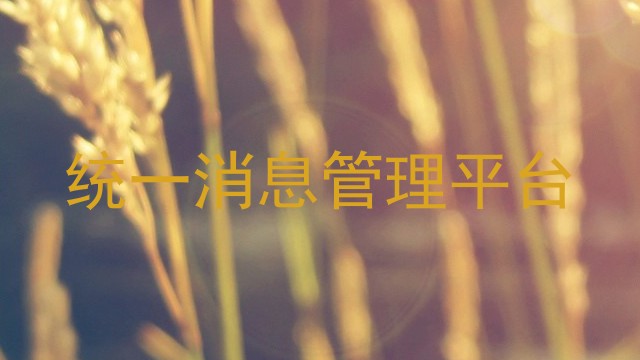 统一消息管理平台
