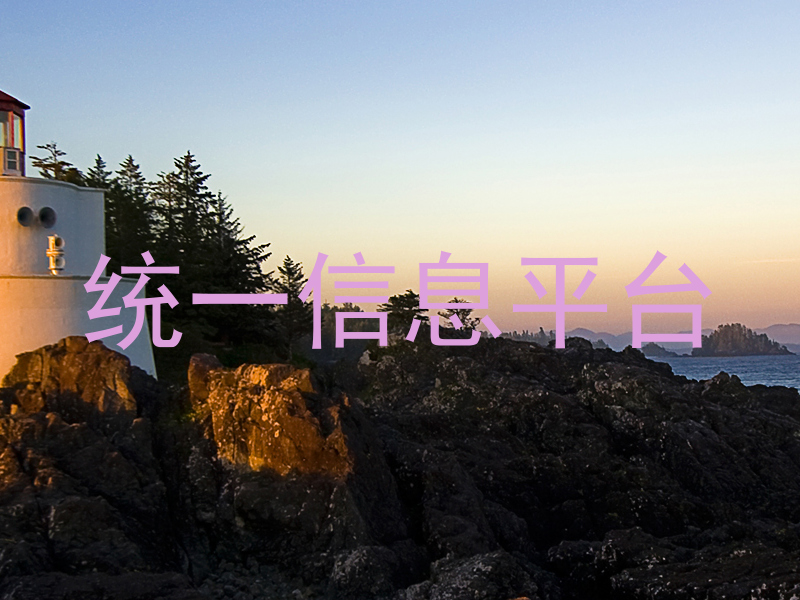 统一信息平台