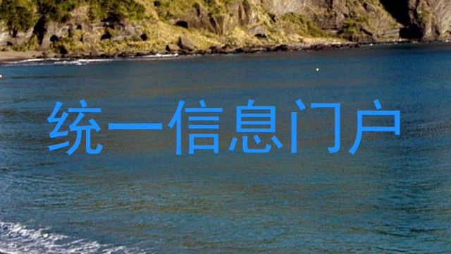 统一信息门户