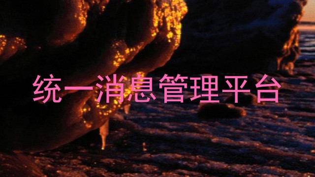 统一消息管理平台