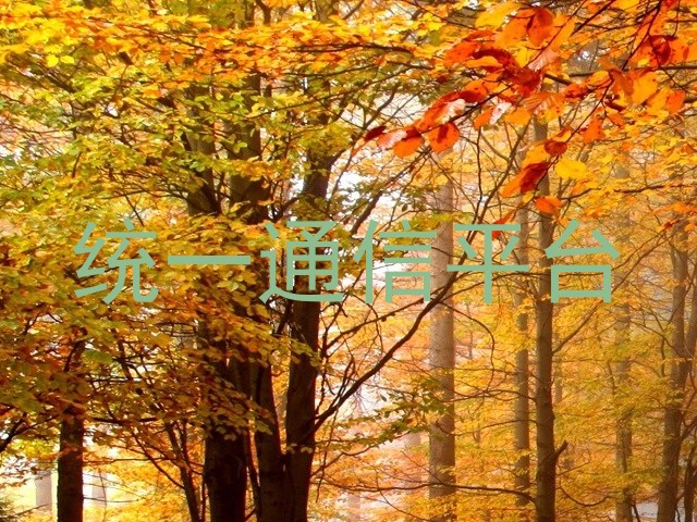 统一通信平台
