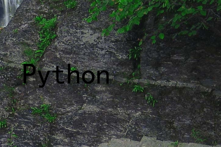 Python