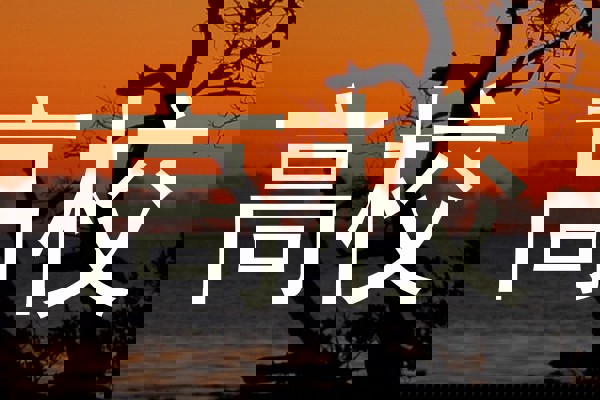 高校