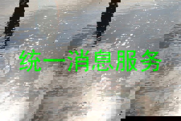 统一消息服务