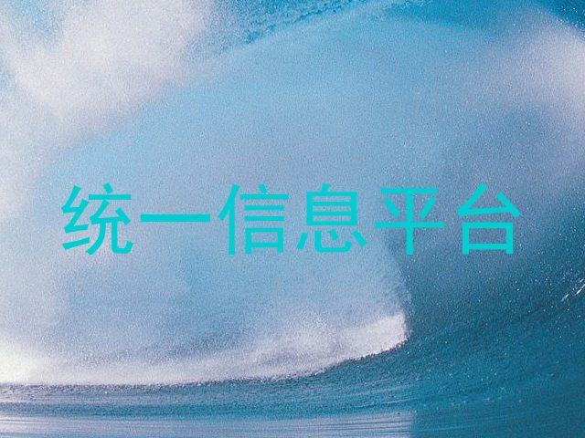 统一信息平台
