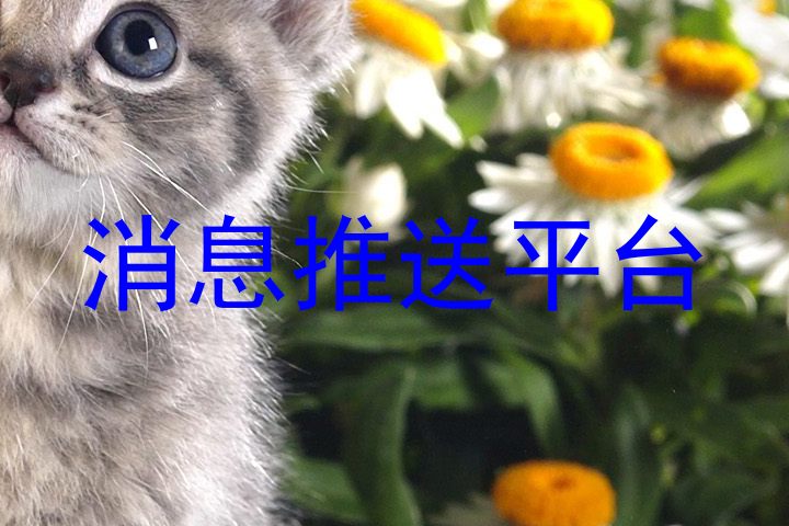 消息推送平台