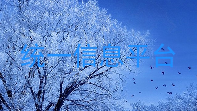统一信息平台