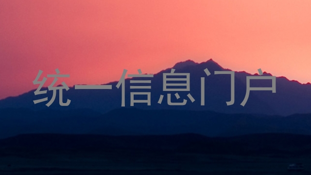 统一信息门户