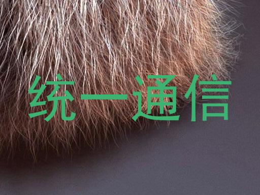 统一通信