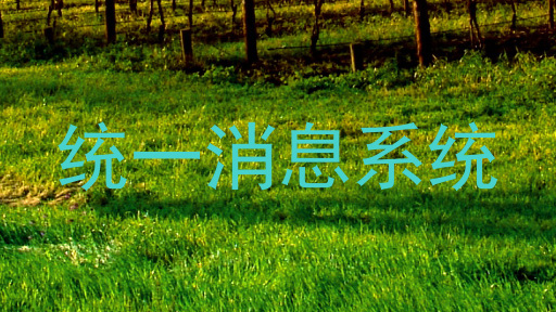 统一消息系统