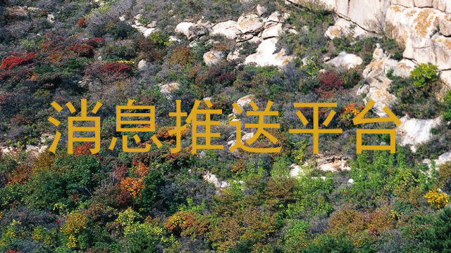消息推送平台