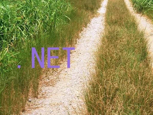 .NET