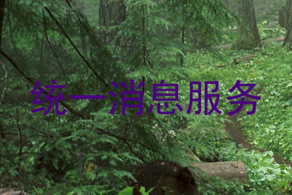 统一消息服务