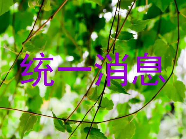 统一消息