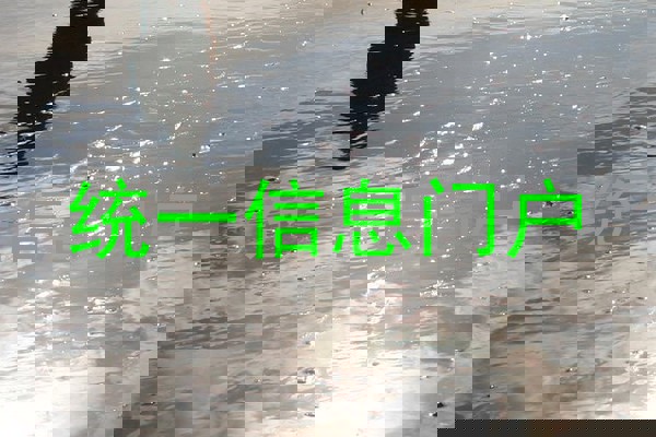 统一信息门户