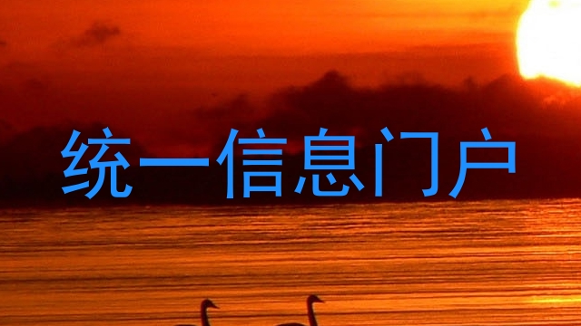 统一信息门户