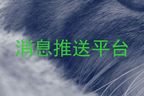 消息推送平台