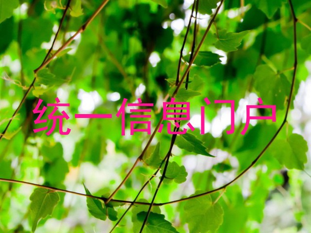 统一信息门户