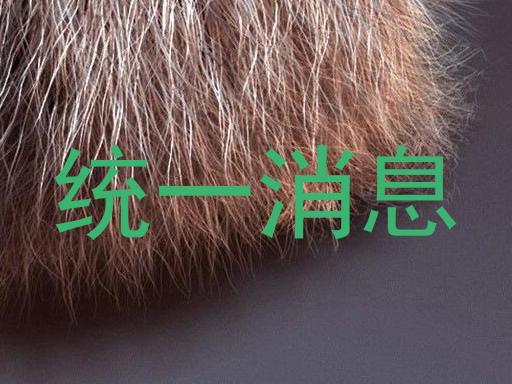 统一消息