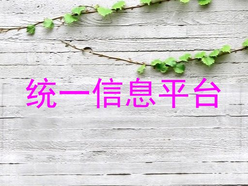 统一信息平台