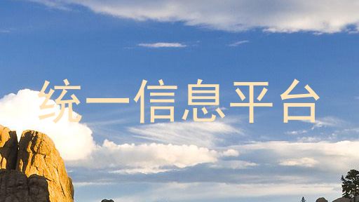 统一信息平台