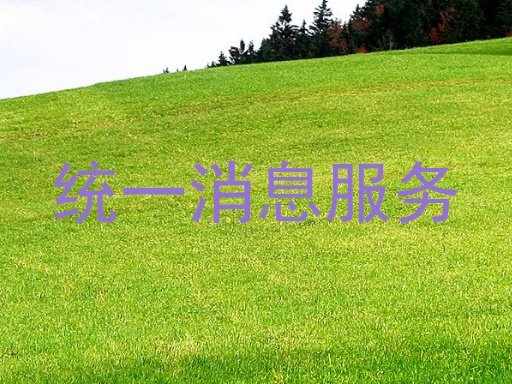 统一消息服务
