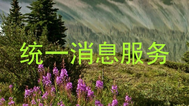 统一消息服务