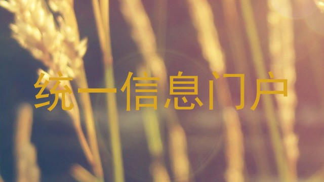 统一信息门户