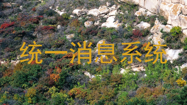 统一消息系统