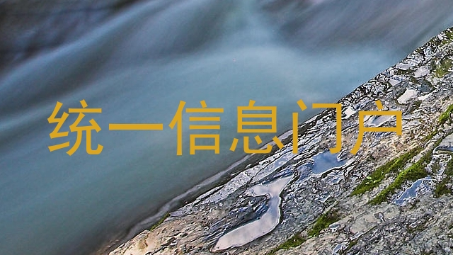 统一信息门户
