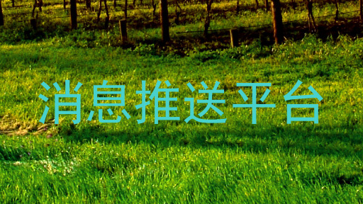 消息推送平台