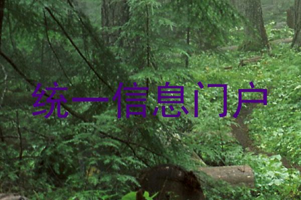 统一信息门户
