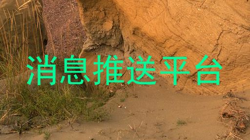 消息推送平台
