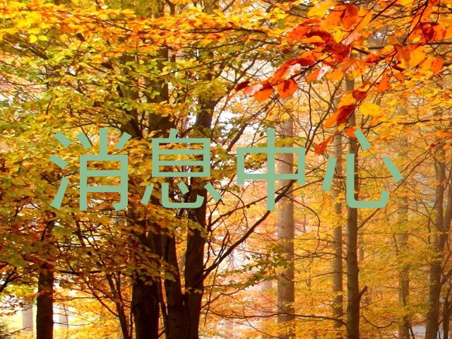 消息中心