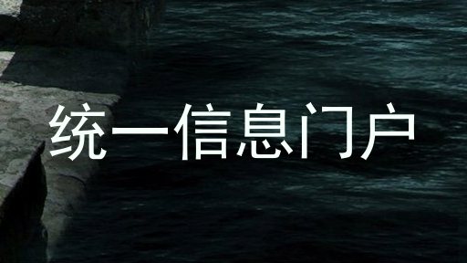 统一信息门户