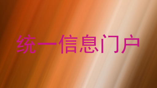 统一信息门户