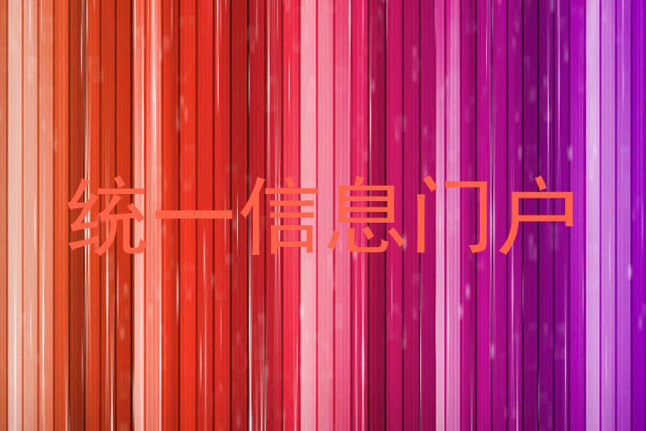 统一信息门户