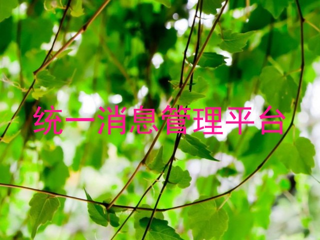 统一消息管理平台