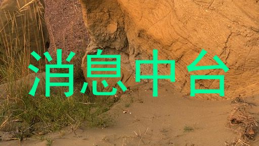 消息中台