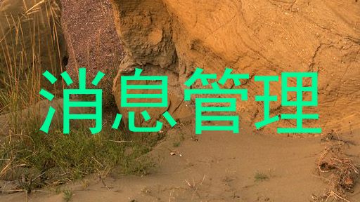 消息管理