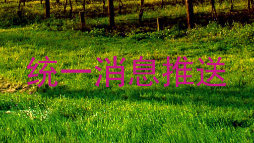 统一消息推送